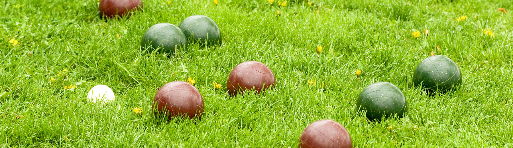 Bocce balls in the grass